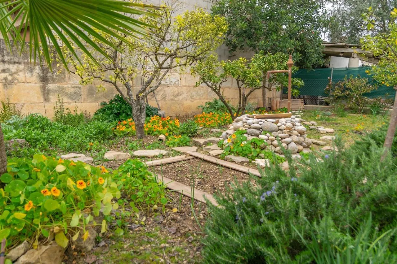 Villa Construcciones Balaguer Mancor del Valle
